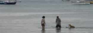Beach scene