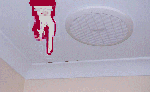 spotting on plaster ceiling